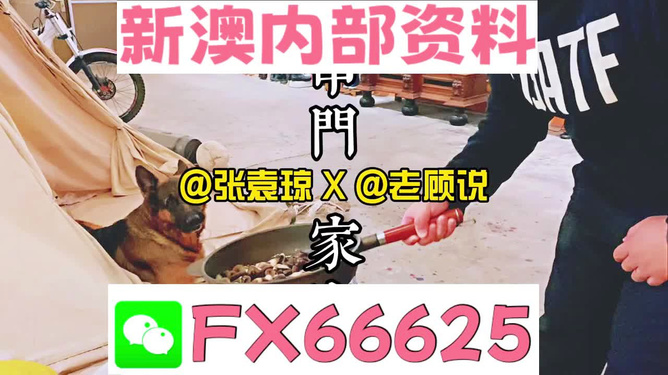 新澳门精准资料大全管家婆料,尖端解答解释落实_休闲版84.64.43