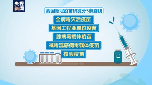 新奥门特免费资料大全198期,长效解答解释落实_冠军版33.91.10