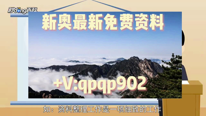 2024年新奥正版资料免费大全,揭秘2024年新奥正版资料,乐观解答解释落实_分析版12.66.22