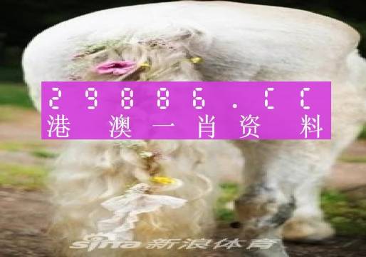 澳门一肖一码100准202ⅰ,模型解答解释落实_综合版51.75.75