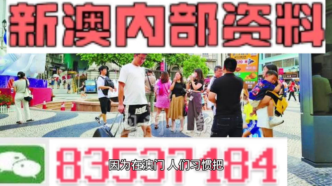 2024澳门精准正版资料,整洁解答解释落实_薄荷版90.23.45