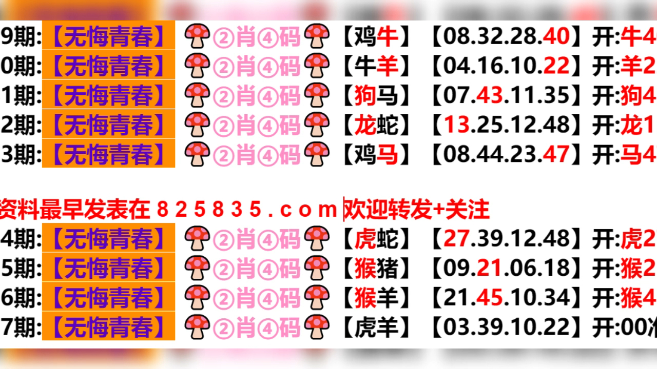 2024澳门天天开好彩免费,精密解答解释落实_动能版22.42.41