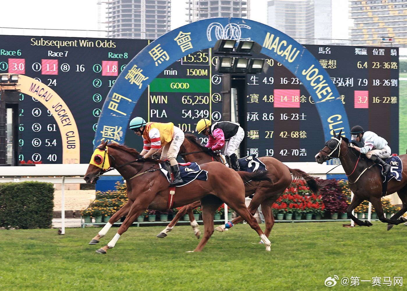 香港内部马料免费资料亮点,严密解答解释落实_实验版60.58.30